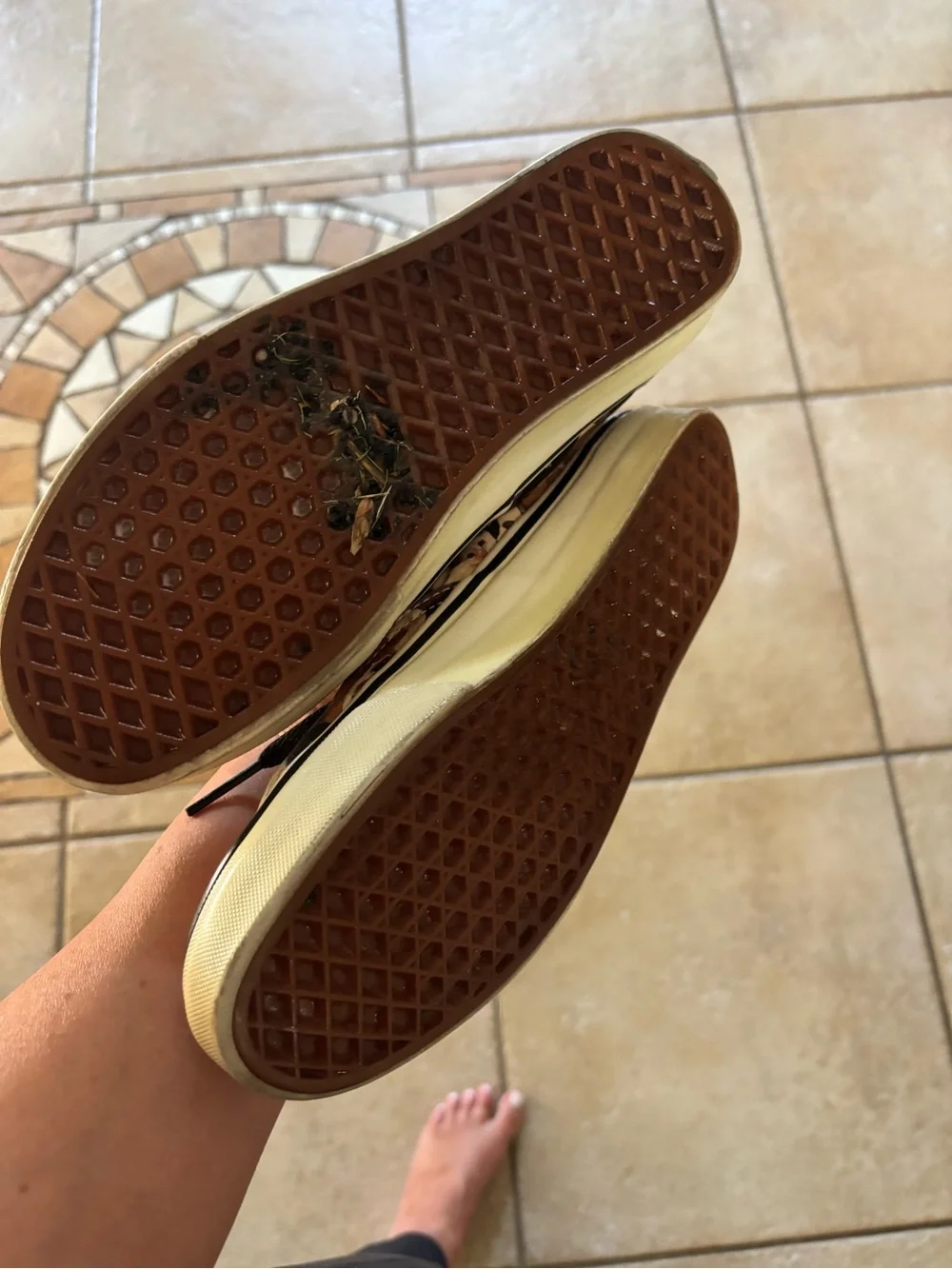 Authentic Vans ASPCA Cats Shoes Men’s 6.5/ Women’s 8– RARE